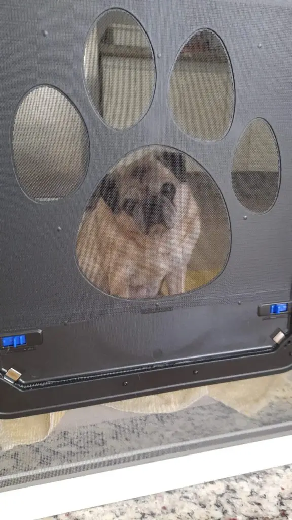 Porta bang-bang para Pets IMG 20211129 WA0005 576x1024