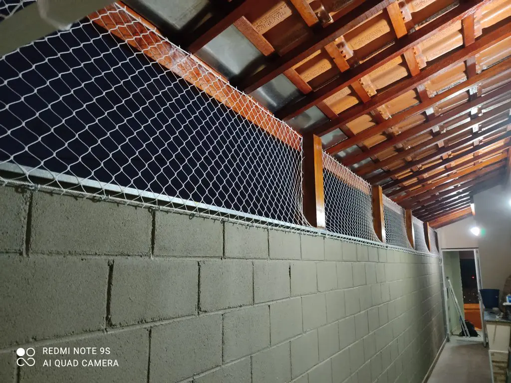 Redes de proteção para gatos em Campinas IMG 20210616 180055 1024x768