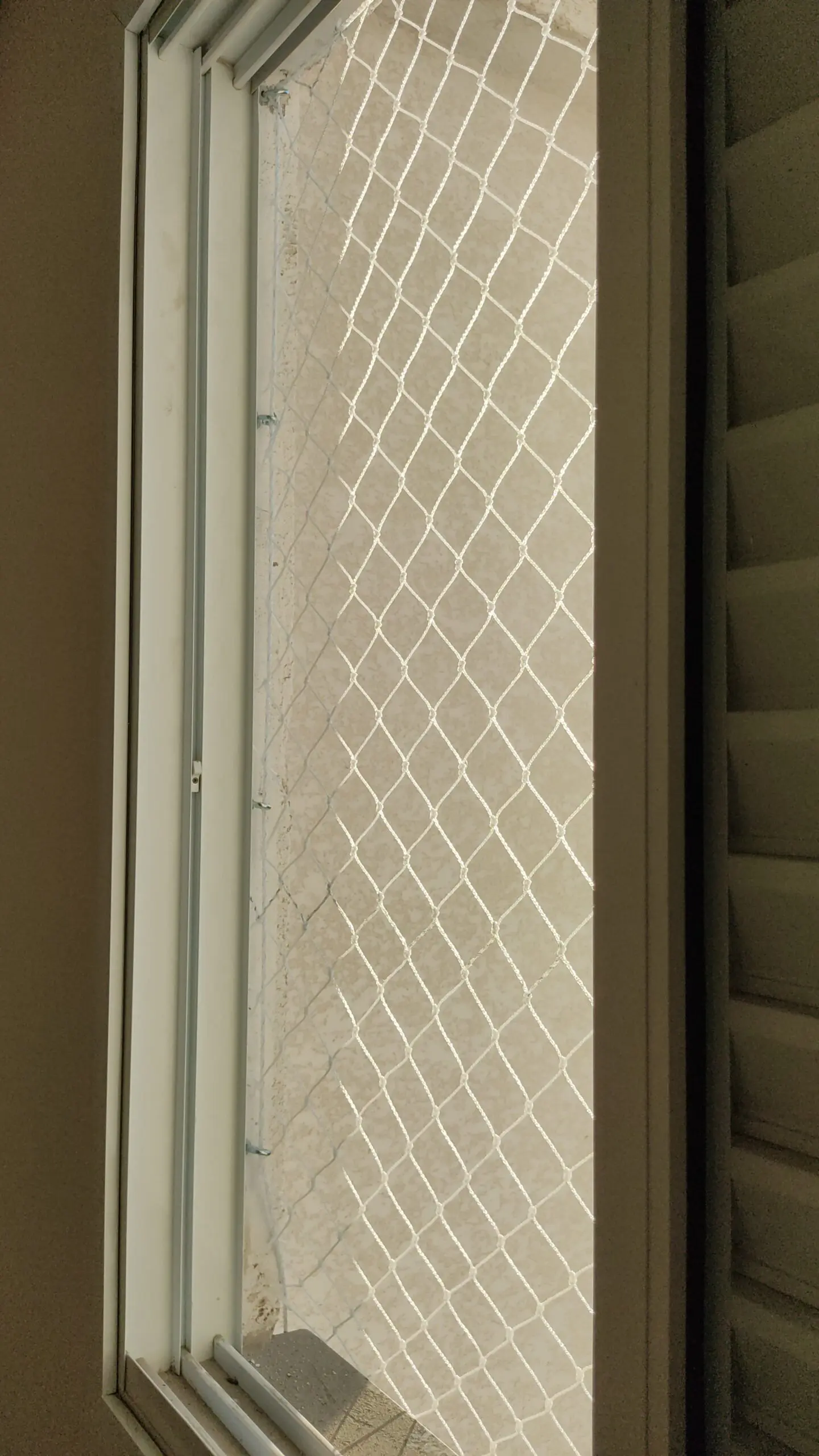 Redes de proteção para gatos em Campinas. Img 20210609 Wa00347648685266660812349