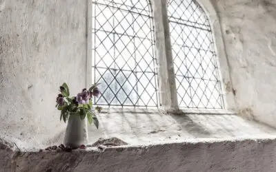 Serviços Telinha de Proteção para Janela: A Importância na Prevenção de Acidentes