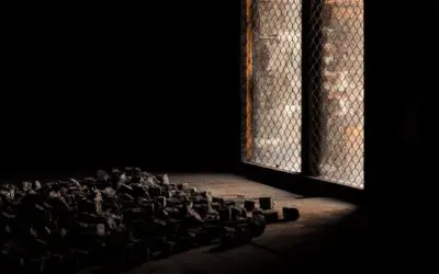 Serviços Telas de Proteção para Janelas: Escolhendo o Material Adequado