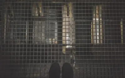 Serviços Telinha de Proteção: Cuidados e Vantagens para um Ambiente Seguro