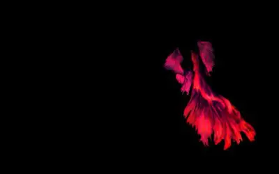 Serviços A Importância das Cores nas Telas Mosquiteiras: Além da Estética, a Funcionalidade