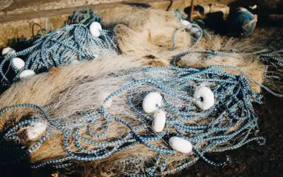 Serviços Telas de Proteção para Sacadas: Uma Escolha Inteligente para Espaços Externos