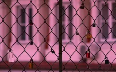 Serviços Telinha de Proteção: Integrando Estética e Segurança em Sua Casa