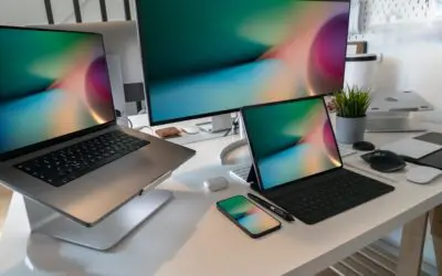 Serviços Como Manter as Telas Mosquiteiras Limpas e em Perfeito Estado