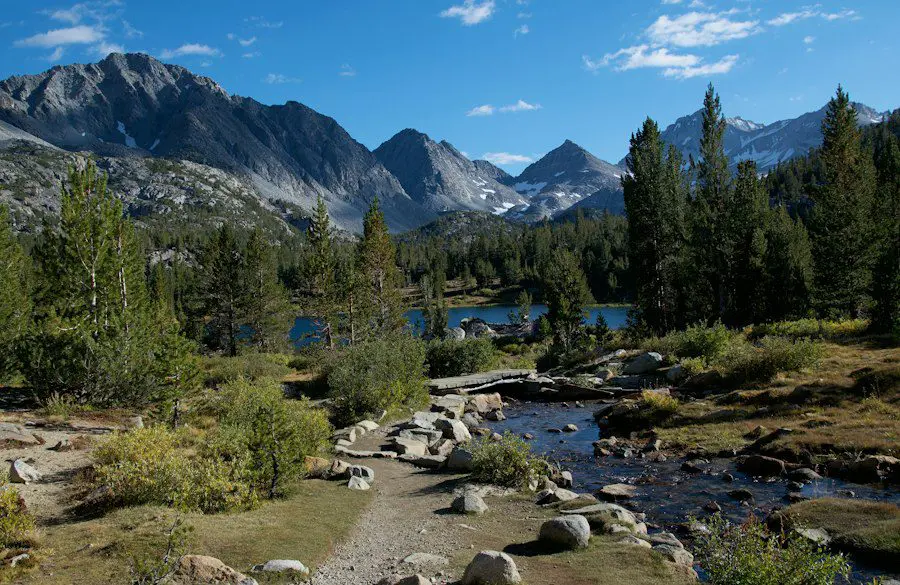 Telas Mosquiteiras Fixas ou Removíveis: Qual a Melhor Opção? Abcdhe 67