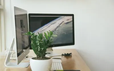 Serviços A Funcionalidade das Telas de Proteção em Ambientes Residenciais