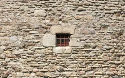 Serviços Telinha de Proteção para Janela: Estilo e Segurança em Harmonia