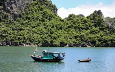 Serviços Redes de Proteção: Opções de Cores para Harmonizar com o Ambiente